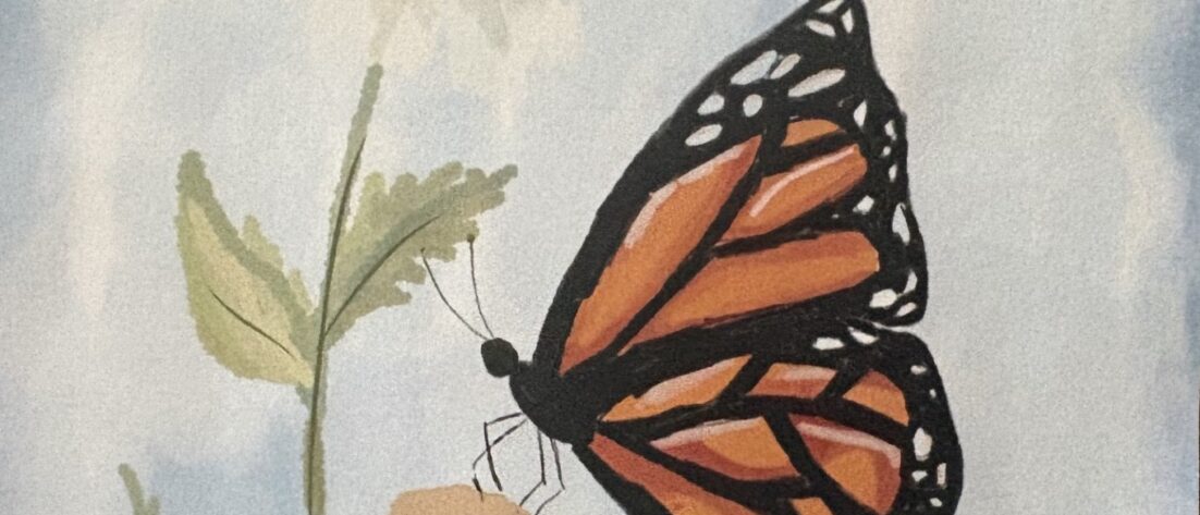 Le buzz de la nature