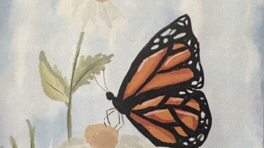 Le buzz de la nature
