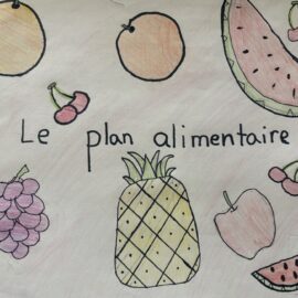 Le plan alimentaire