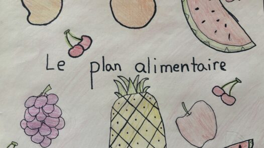 Le plan alimentaire
