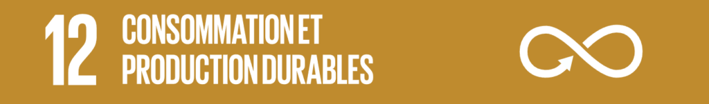 ODD 12 Consommation et production durables