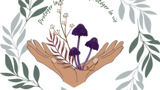 Protéger la nature c’est protéger la vie